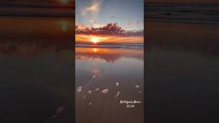 Biddeford Maine 10124 maine beach sunrise [upl. by Ahsya]