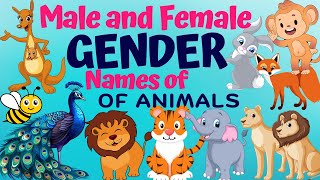 Male and Female names of animalsGender names of animalMasculine and feminine names of animalskids [upl. by Qulllon]