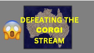 IND clan reigns supreme over corgi clan 💪  territorialio [upl. by Darnell466]