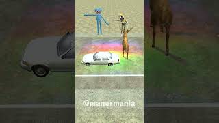 animal crossing the road challenged 길건너친구들 zoonomaly accident crossing animal 동물 friend [upl. by Sonahpets380]