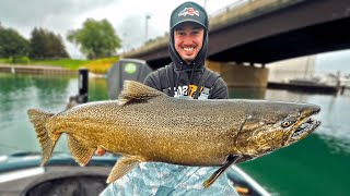 THESE FISH ARE INSANE Float Fishing King Salmon on Lake Michigan [upl. by Atsirk199]