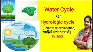 Water cycle  Hydrological cycle  Evaporation Transpiration Condensation Precipitation [upl. by Eusadnilem]