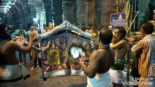 மதுரைமீனாட்சி அம்மன் இரவு பள்ளியறைபூஜை Madurai meenakshi temple night ceremony madurai  Meenakshi [upl. by Rebmak]