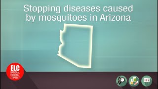 Stopping diseases caused by mosquitoes in Arizona [upl. by Breen799]