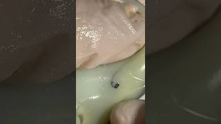 Mochi Pimple Popping pimplepopping satisfying visualasmr relax cats oddlysatisfying [upl. by Yedarb142]