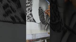 Leopard drawing charcoal pencil on paper charcoaldrawingtutorial art drawing [upl. by Araihc]