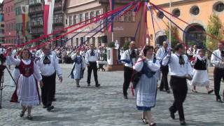 Trachtenumzug beim Heimattag der Siebenbürger Sachsen in Dinkelsbühl 2010 [upl. by Haym]