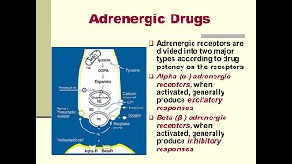 Adrenergic drugs  part 2 [upl. by Ocirred]