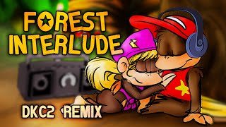 Forest Interlude Remix  Donkey Kong Country 2 [upl. by Sabec]