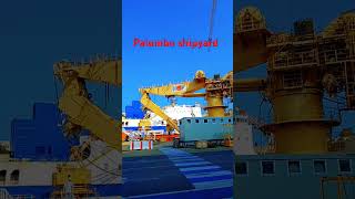 Palumbo shipyard Europe [upl. by Ailak]