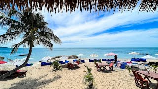 Livestream 🔴 Black pearl restaurant Koh Samui Lamai beach  Live on the beach [upl. by Albie141]