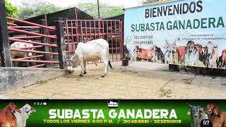 Lote 92 Subasta 1 de Noviembre de 2024 [upl. by Ymmit]