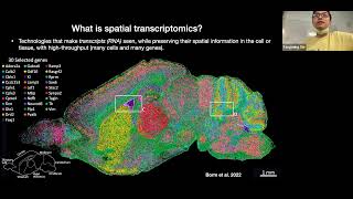 W31 Spatial Transcriptomics – Day 1 [upl. by Strephonn753]