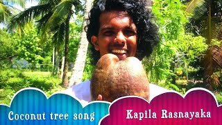 Coconut tree song  Kapila Rasnayaka [upl. by Godfrey]