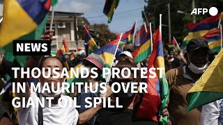 Thousands protest in Mauritius over giant oil spill  AFP [upl. by Cal]