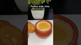 Kya kabhi pudina wala chai try Kiya 🤯food recipe chai chailover shorts shortfeed viralvideo [upl. by Teplica]