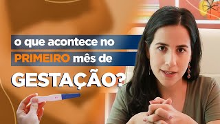 PRIMEIRAS SEMANAS DE GRAVIDEZ o que eu senti  Monica Romeiro [upl. by Sochor]