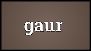 Gaur Meaning [upl. by Urd]