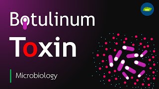 Botulinum Toxin  Botulism toxin  Clostridium botulinum  Basic Science Series [upl. by Desirae]