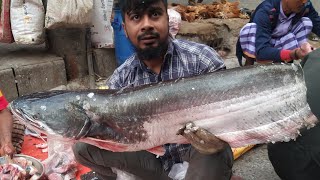 Amazing Fish Cutting Skills Big Boal Fish Cutting Skills In Bangladeshi Fish Market Dhaka [upl. by Ynohtna]