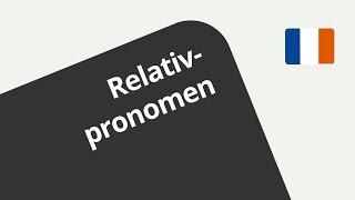 Lequel  ein Relativpronomen  Französisch  Grammatik [upl. by Jessamyn]