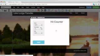 How To Add A Hit Counter To Your Website [upl. by Nevram445]