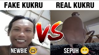 Newbie Kukru VS Sepuh Kukru😱 [upl. by Bisset396]