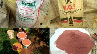 UREAN AND POTASHK2O FERTILIZER MIXING FOR MAIZE CROP NEEM COATED UREA amp MURIATE OF POTASH Agri [upl. by Annaik241]