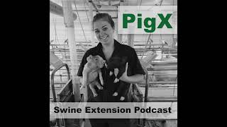 Season 5 Episode 2 Swine Bone Mineralization [upl. by Pearla]