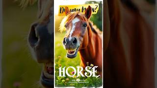 Cool Facts About Horses You Didnt Know [upl. by Tibold]