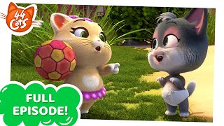 44 Cats  A new friend for Pilou FULL EPISODE [upl. by Kohn]