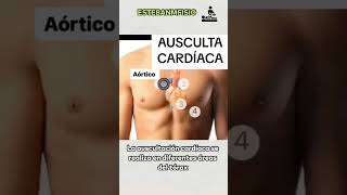 Auscultación cardíaca anatomia anatomiafacil cardio curiosidades medicina ciencia [upl. by Ynnohj656]