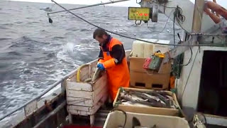 Jigging for cod skrei in Finnmark Norway April 2011  part 3 [upl. by Adigirb]