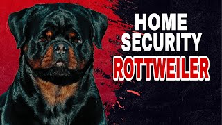 The Power of Rottweilers in Home Security A MustHave Guard Dog [upl. by Accem337]