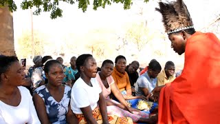 Shumba yengozi Nezvikwambo Chabvondoka pachipinge [upl. by Enila]