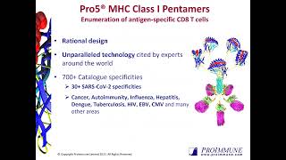 Pro5 MHC Class I Pentamers [upl. by Lenno892]