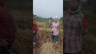 Eina khaodaba fou Ei khomdea manipur funny [upl. by Iva32]