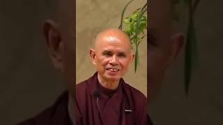 quotI do not have enemiesquot  Thich Nhat Hanh  Plum Village App Shorts [upl. by Lovato830]