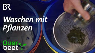 Waschen mit Pflanzen [upl. by Shetrit]