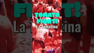 La Tomatina Festival spain tomato [upl. by Henning]