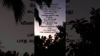 padi parantha kili song lyrics tamilshortvideo wharsappstatus subscribe😍 [upl. by Akselaw]