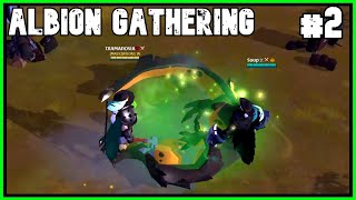 Albion Online Gathering  1mil a day 2 [upl. by Marguerita]