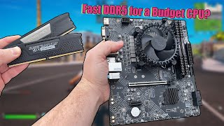 DDR4 vs DDR5 RAM with a budget CPU  Does it improve gaming performance [upl. by Ahsitauq]