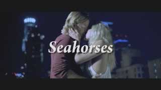 Seahorses Trailer [upl. by Kelwin]