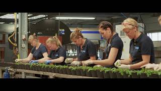 Vireõ plant sales  company movie Nederlands [upl. by Carvey376]