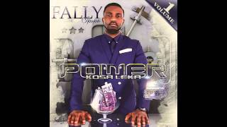 Fally Ipupa  Amour Assassin Official Audio [upl. by Hajidak]