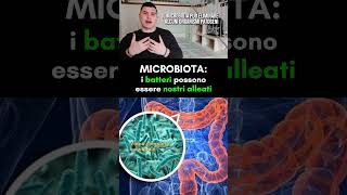 Microbiota un “esercito” di batteri amici [upl. by Ittap]