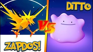 NEW ZAPDOS vs THE DITTO POKÉMON GO LEGENDARY RAID CHALLENGE [upl. by Lezned]