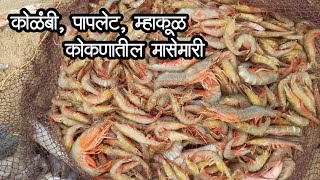 कोळंबी पापलेट म्हाकूळ Squid fish मासेचमासे  कोकणातील मासेमारी quotRapanquot [upl. by Nenad]