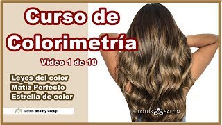 Leyes de Colorimetria  Matiz Perfecto y Estrella de Color Curso de Colorimetría 1 de 10 [upl. by Yelwar]